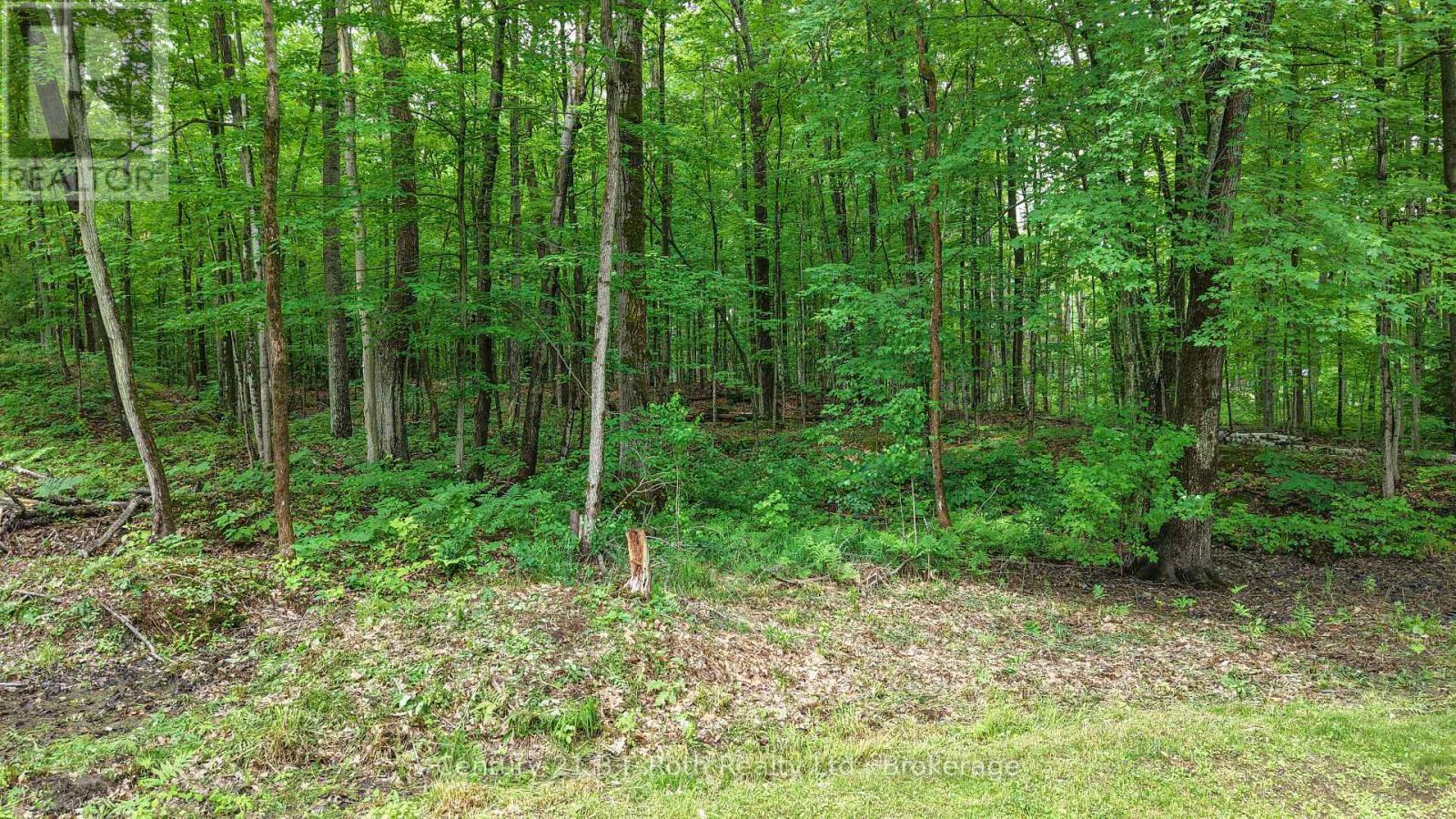 7463 DAVY DRIVE - 39