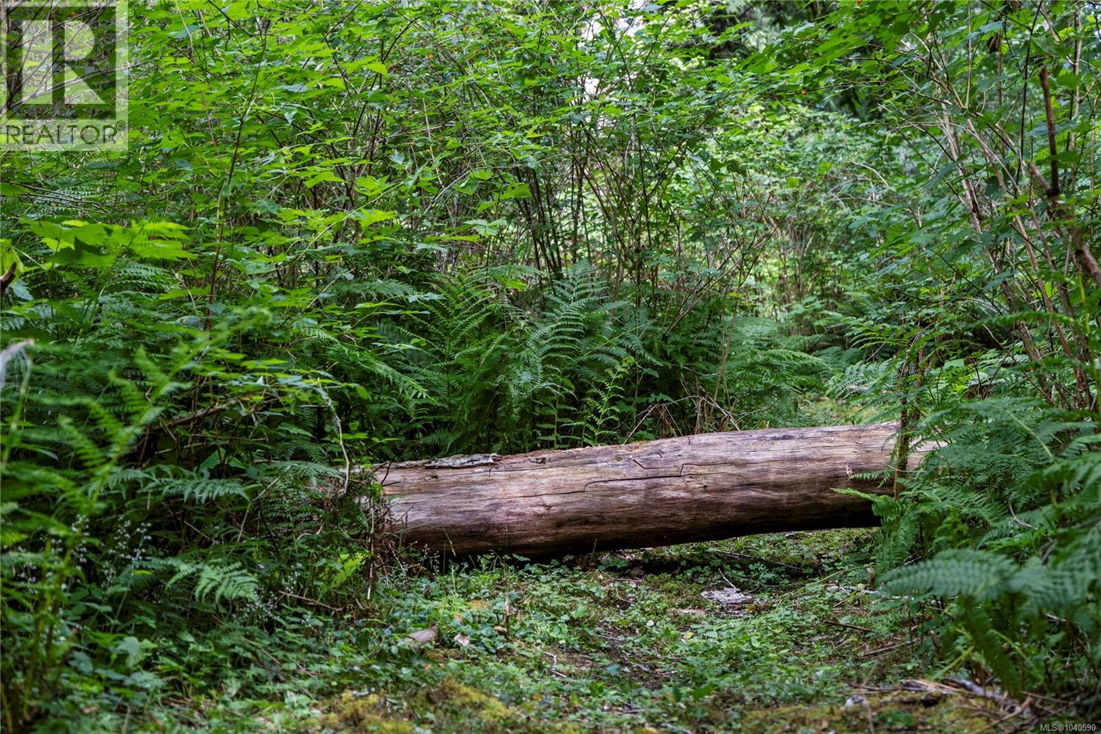 2620 Ross Rd - 49