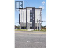 11646 Tecumseh Road East Unit# 613, Windsor, ON N8N0J9 Photo 27