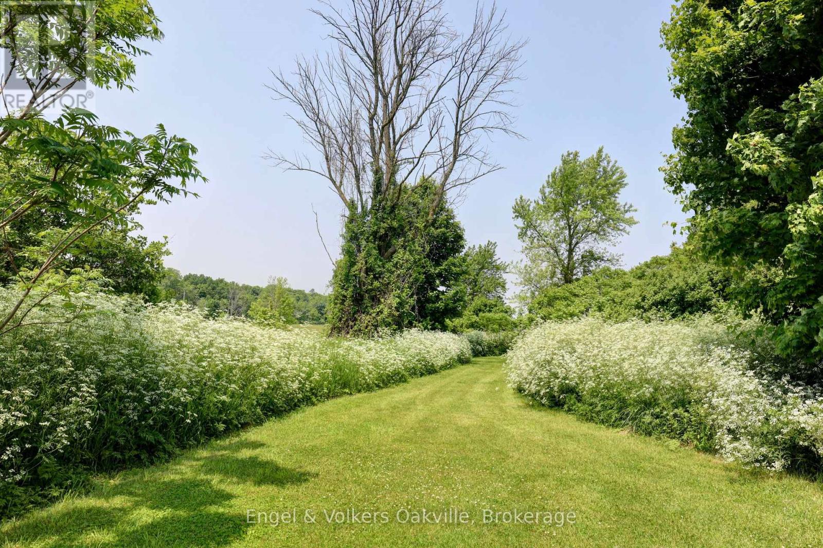330 MOUNTSBERG ROAD - 41