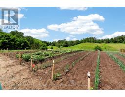 2362 Concession Rd 2, Adjala Tosorontio, ON L0N1P0 Photo 28