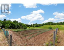 2362 Concession Rd 2, Adjala Tosorontio, ON L0N1P0 Photo 29