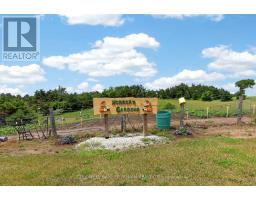 2362 Concession Rd 2, Adjala Tosorontio, ON L0N1P0 Photo 30