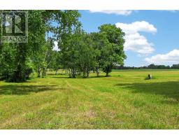 2362 Concession Rd 2, Adjala Tosorontio, ON L0N1P0 Photo 32
