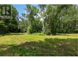 2362 Concession Rd 2, Adjala Tosorontio, ON L0N1P0 Photo 33