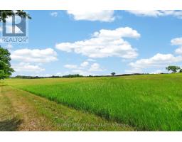 2362 Concession Rd 2, Adjala Tosorontio, ON L0N1P0 Photo 34