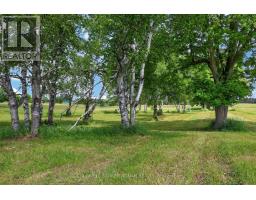 2362 Concession Rd 2, Adjala Tosorontio, ON L0N1P0 Photo 36