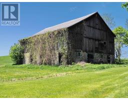 2362 Concession Rd 2, Adjala Tosorontio, ON L0N1P0 Photo 40