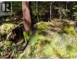Lot 7 Annable Road, Nelson, BC V1L6K5 Photo 13