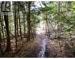Lot 7 Annable Road, Nelson, BC V1L6K5 Photo 16