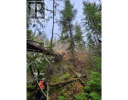 Lot 7 Annable Road, Nelson, BC V1L6K5 Photo 34