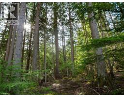 Lot 7 Annable Road, Nelson, BC V1L6K5 Photo 7
