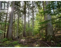 Lot 7 Annable Road, Nelson, BC V1L6K5 Photo 8