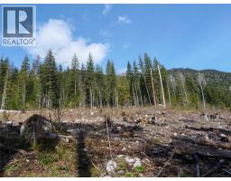 Lot 7 Annable Road, Nelson, BC V1L6K5 Photo 17