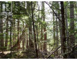 Lot 7 Annable Road, Nelson, BC V1L6K5 Photo 15