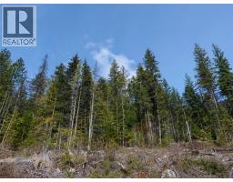Lot 7 Annable Road, Nelson, BC V1L6K5 Photo 10