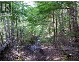 Lot 7 Annable Road, Nelson, BC V1L6K5 Photo 14