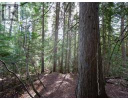 Lot 7 Annable Road, Nelson, BC V1L6K5 Photo 6