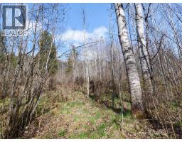 Lot 7 Annable Road, Nelson, BC V1L6K5 Photo 25