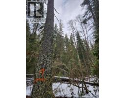 Lot 7 Annable Road, Nelson, BC V1L6K5 Photo 37