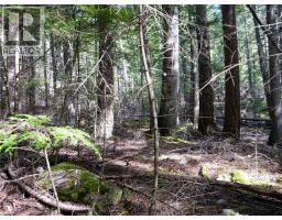 Lot 7 Annable Road, Nelson, BC V1L6K5 Photo 18