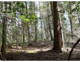 Lot 7 Annable Road, Nelson, BC V1L6K5 Photo 20