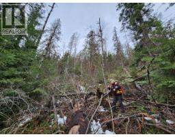 Lot 7 Annable Road, Nelson, BC V1L6K5 Photo 35