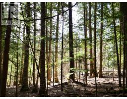 Lot 7 Annable Road, Nelson, BC V1L6K5 Photo 19