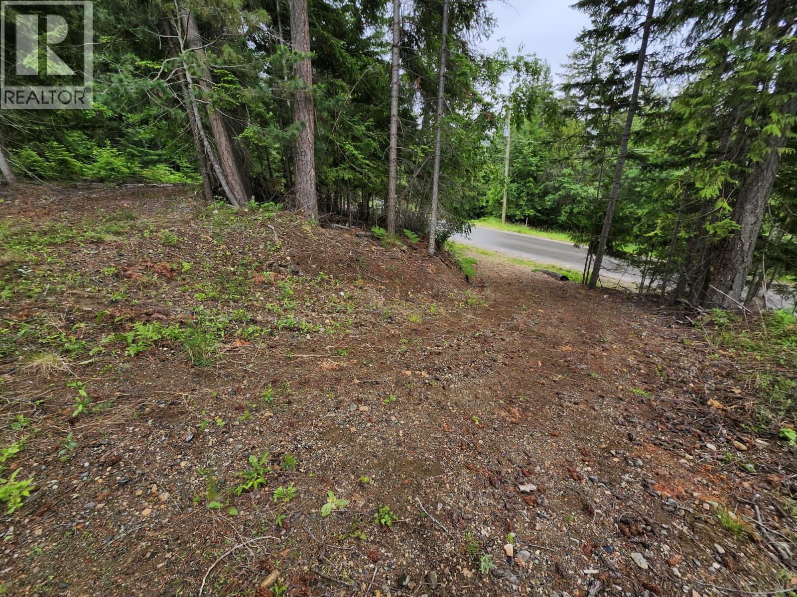 Aspen Road Lot# 331, Anglemont — photo 3