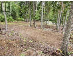 Aspen Road Lot# 331, Anglemont, BC V0E1M8 Photo 10