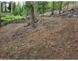 Aspen Road Lot# 331, Anglemont, BC V0E1M8 Photo 11