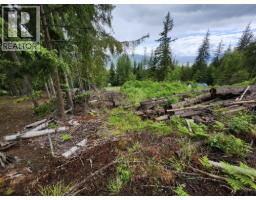 Aspen Road Lot# 331, Anglemont, BC V0E1M8 Photo 12