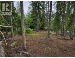 Aspen Road Lot# 331, Anglemont, BC V0E1M8 Photo 13