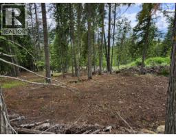 Aspen Road Lot# 331, Anglemont, BC V0E1M8 Photo 14