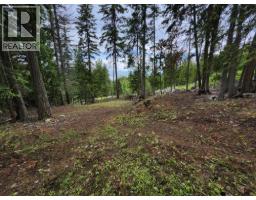 Aspen Road Lot# 331, Anglemont, BC V0E1M8 Photo 6