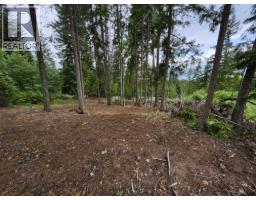 Aspen Road Lot# 331, Anglemont, BC V0E1M8 Photo 7