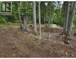 Aspen Road Lot# 331, Anglemont, BC V0E1M8 Photo 8