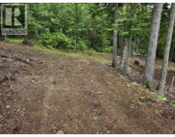 Aspen Road Lot# 331, Anglemont, BC V0E1M8 Photo 9