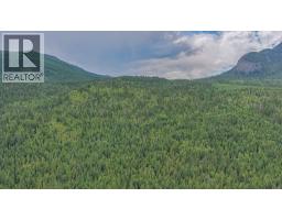 2996 Lumby Mabel Lake Road, Lumby, BC V0E2G6 Photo 15