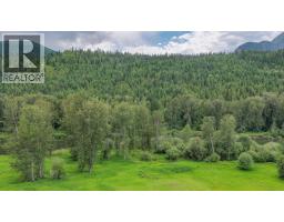 2996 Lumby Mabel Lake Road, Lumby, BC V0E2G6 Photo 29