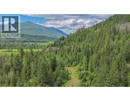 2996 Lumby Mabel Lake Road, Lumby, BC V0E2G6 Photo 44