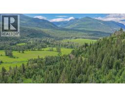 2996 Lumby Mabel Lake Road, Lumby, BC V0E2G6 Photo 45