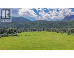 2996 Lumby Mabel Lake Road, Lumby, BC V0E2G6 Photo 59