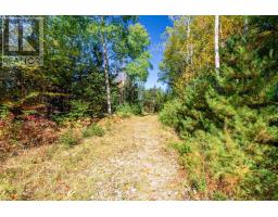 1115 Weymouth Falls Road, Weymouth Falls, NS B0W3T0 Photo 24