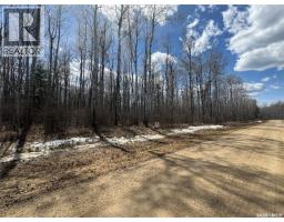 10 Acre Delaronde Lake Acreage, Delaronde Lake, SK S0J0E0 Photo 18