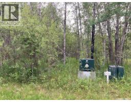 10 Acre Delaronde Lake Acreage, Delaronde Lake, SK S0J0E0 Photo 12