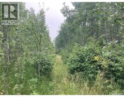 10 Acre Delaronde Lake Acreage, Delaronde Lake, SK S0J0E0 Photo 16