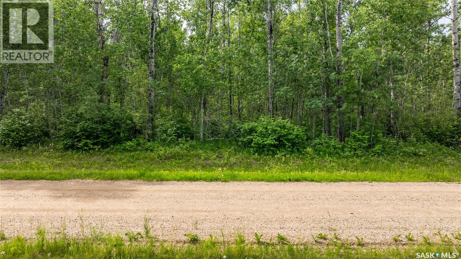 10 Acre Delaronde Lake Acreage — photo 9