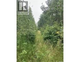 10 Acre Delaronde Lake Acreage, Delaronde Lake, SK S0J0E0 Photo 15