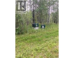 10 Acre Delaronde Lake Acreage, Delaronde Lake, SK S0J0E0 Photo 11